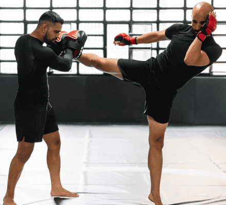 MMA-img