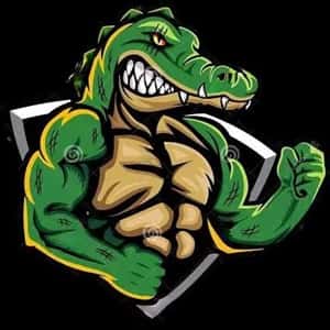 Alligator Fitness logo