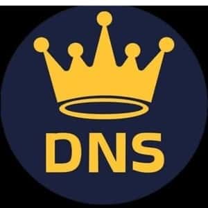 Dance N Style logo