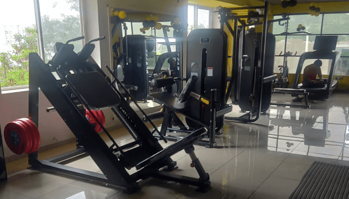 Muscles Fitness