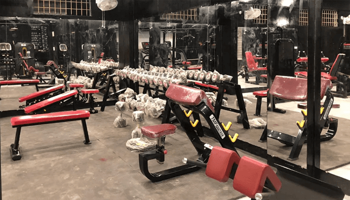 The Muscle Monsterz