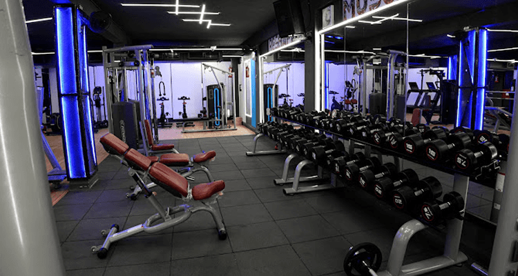 The Gym Hut