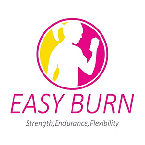 Easy Burn logo