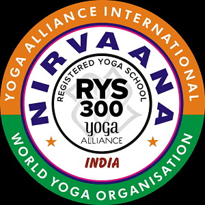 Nirvaana Yoga Academy logo