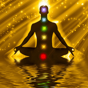 Ananda Aerobics & Yoga logo