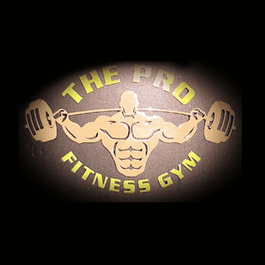 The Pro Fitness Gym logo