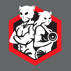 Tiger Fitness Club logo