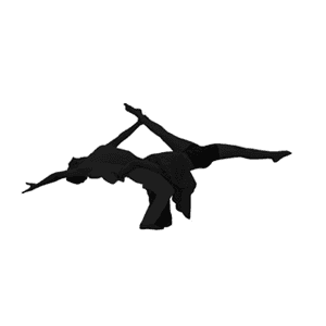 Feel The Dance logo
