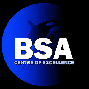 Bluewater Sports Academy logo