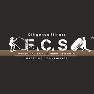 FCS Arena logo
