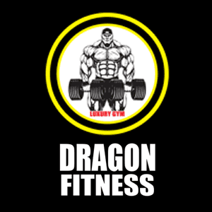 Dragon Fitness Gym Premium logo