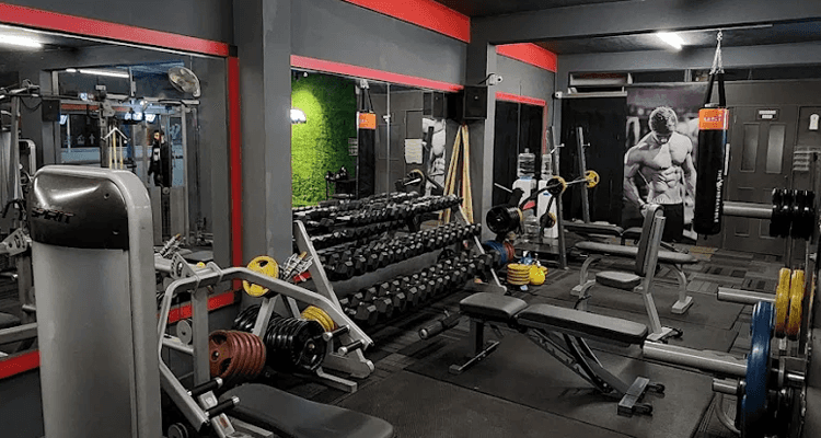 Ultra Muscle Gym