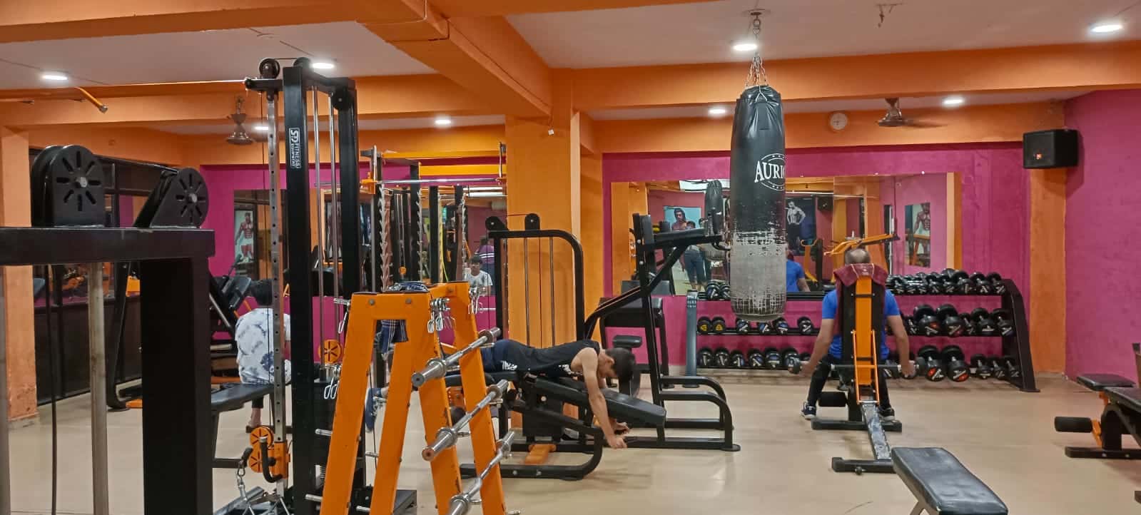 Ms Fitness Gym