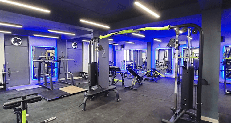 Newway Fitness Elite