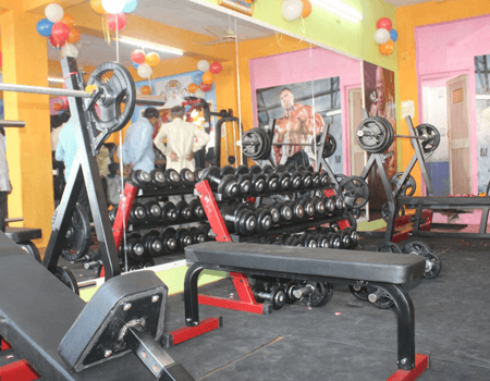 Tiger Gym
