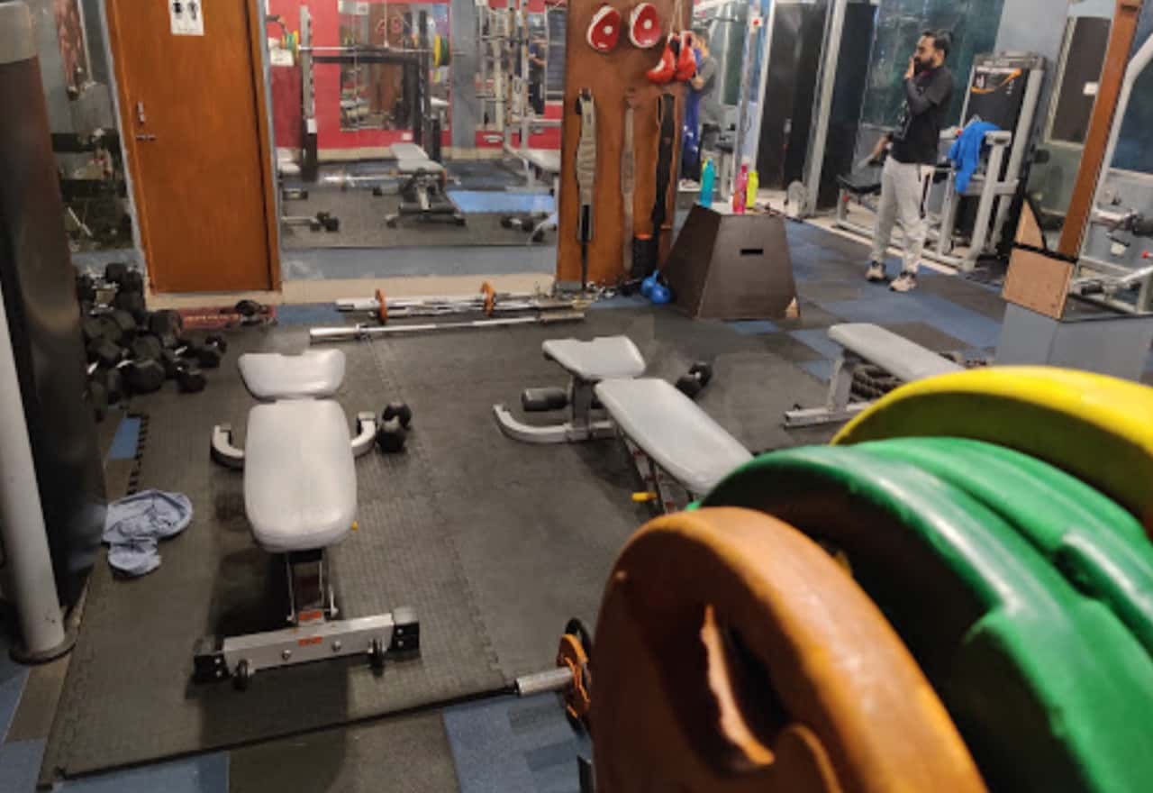 Muscle Fitness Gym