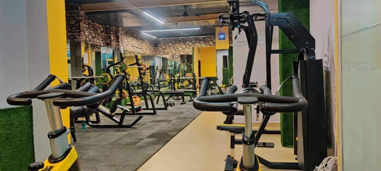 Gym 81