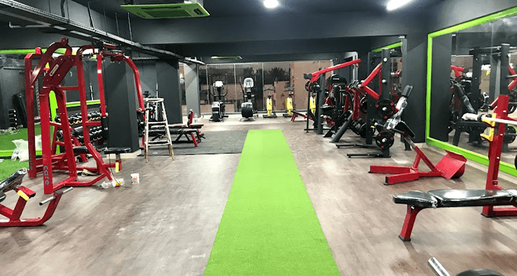 Next Level Fitness