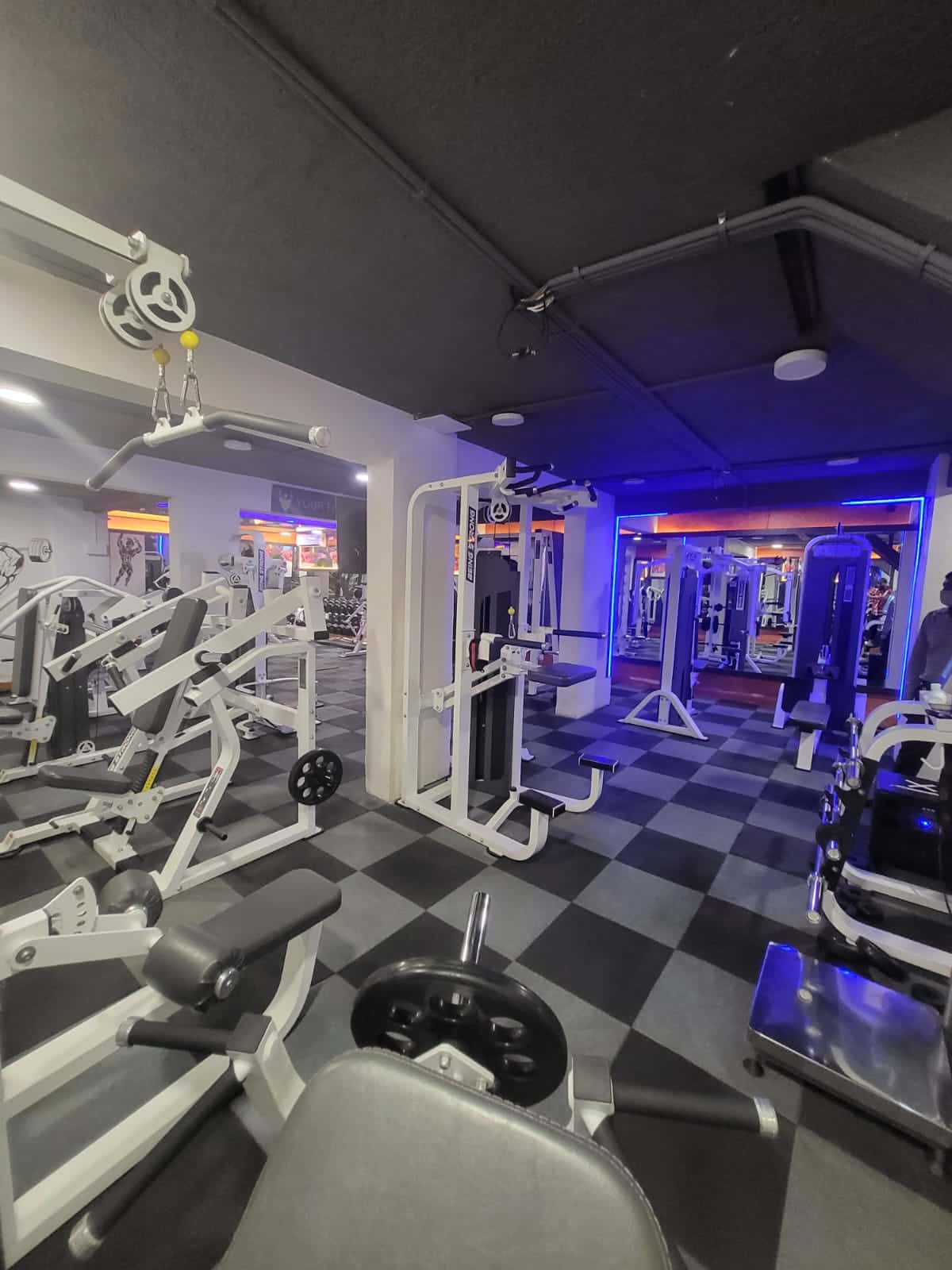 Your Fitness