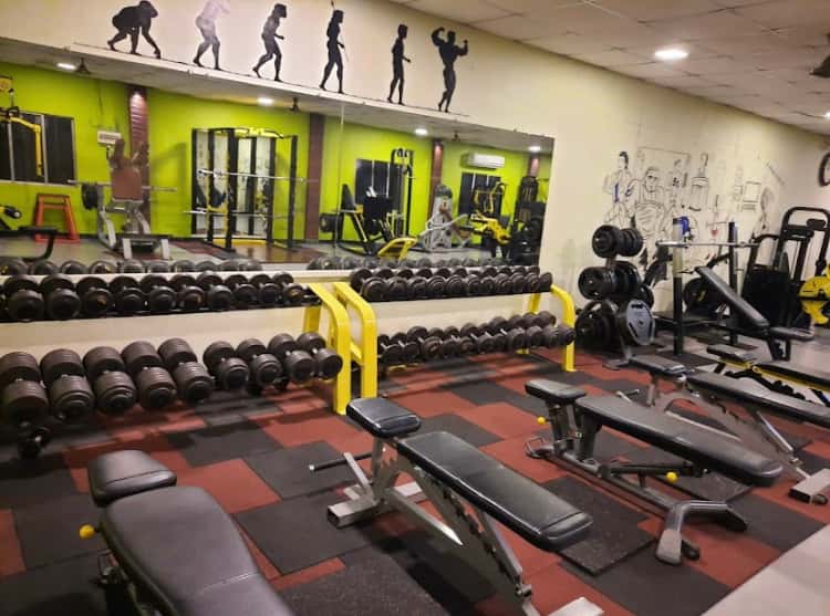 Muscle Studio