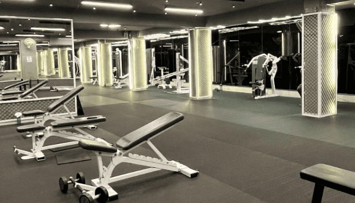 Staunch Fitness Club