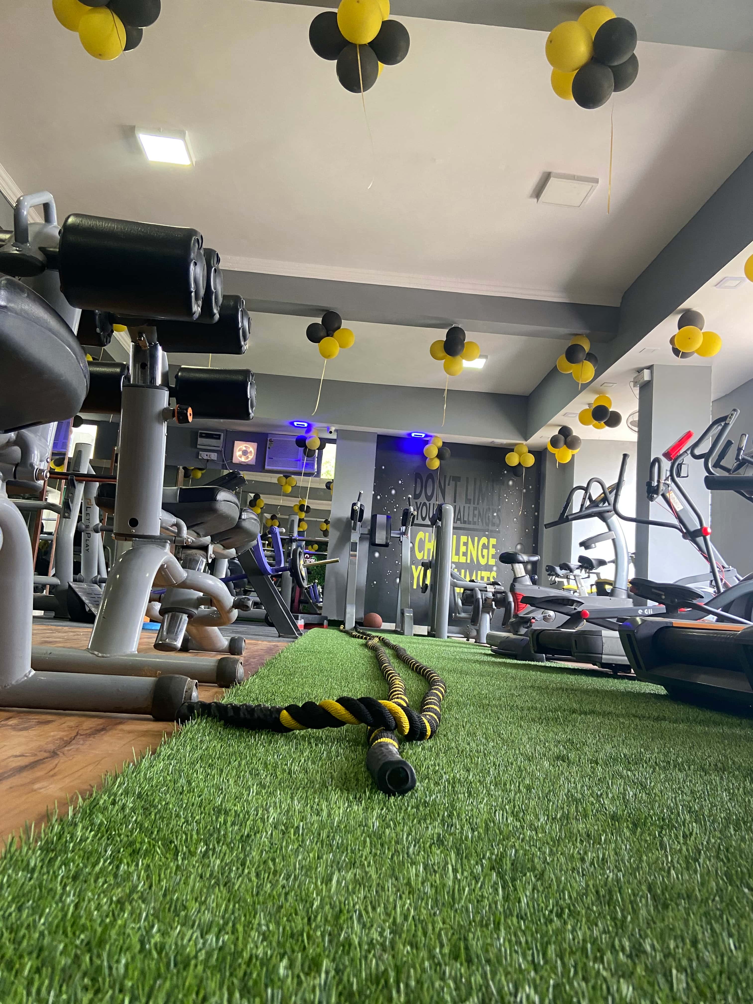 Silverback Gym