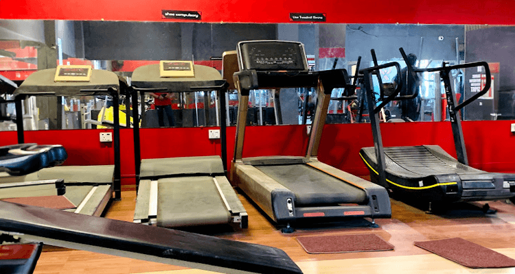 Muscle Fitness Point