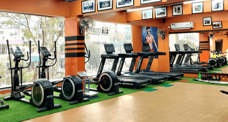 Iron Kingdom Gym