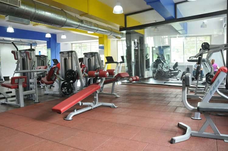 Trex Fitness Factory