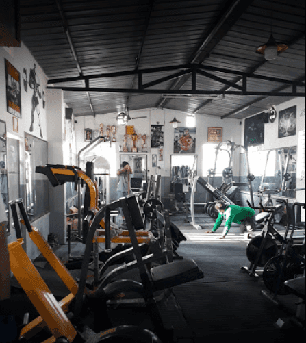 Muscle Fitness
