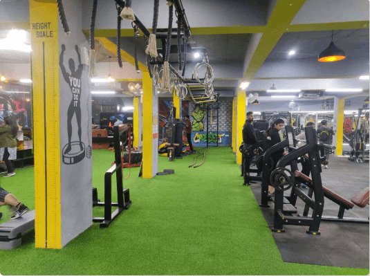 Wild Beast Gym