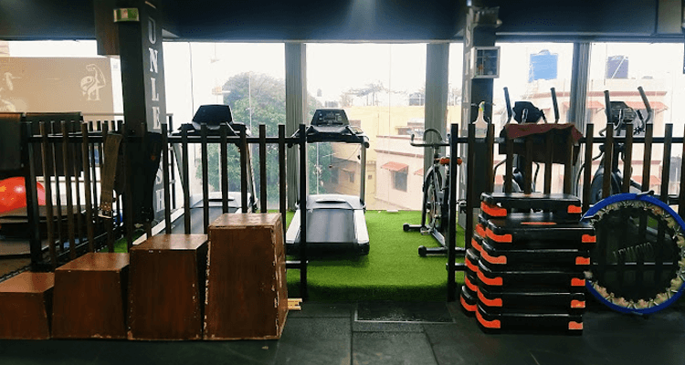 Evolution Fitness