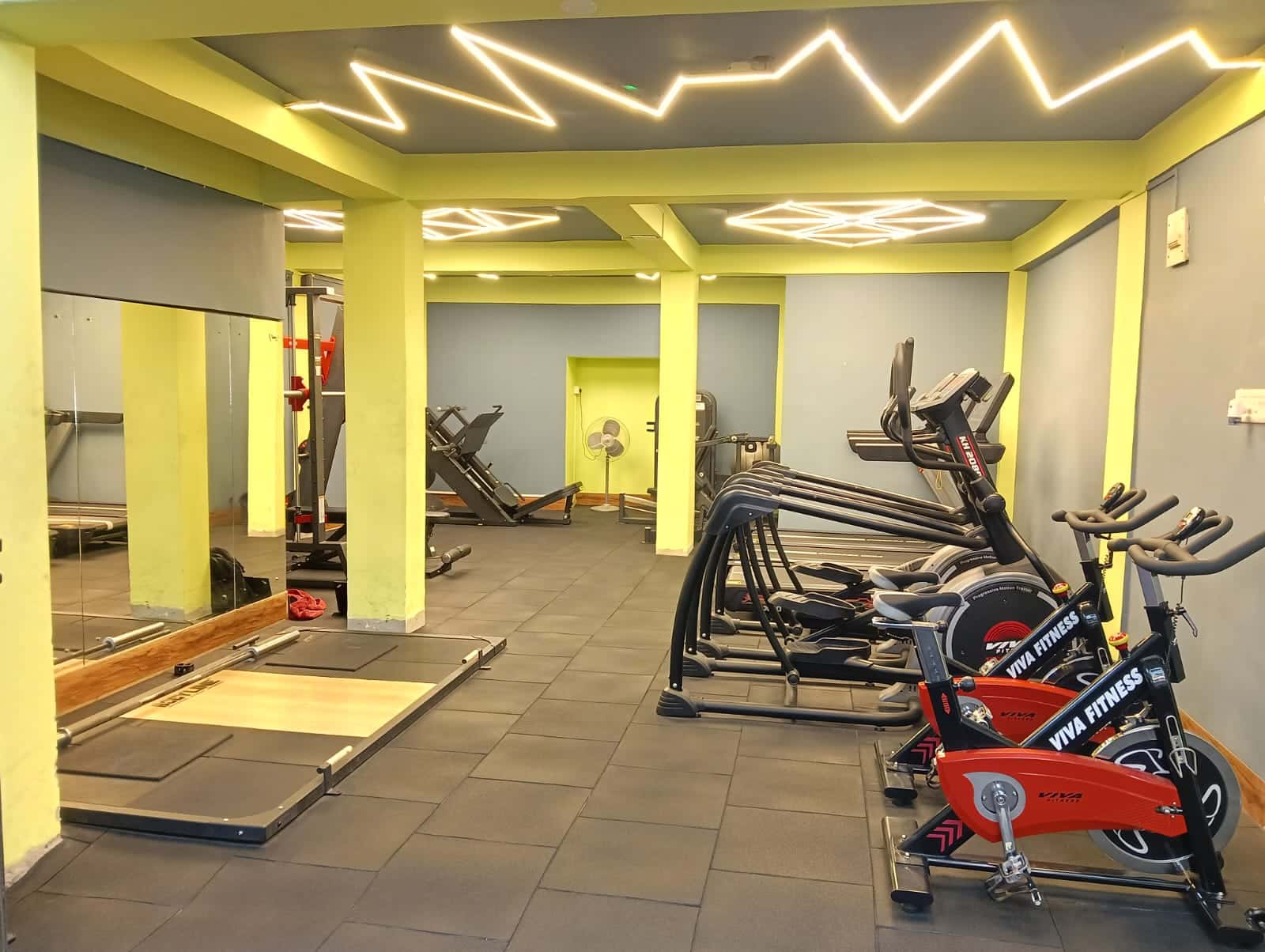 Mind & Muscle Gym