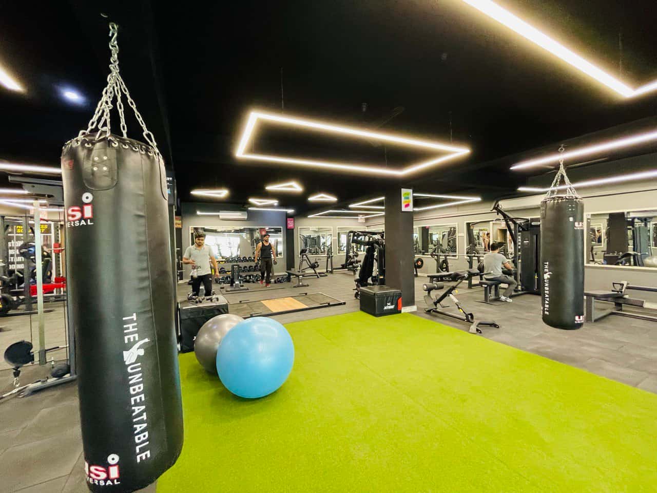 RD GYM (The Fitness Scientist)
