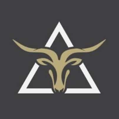 Aries Fitness logo