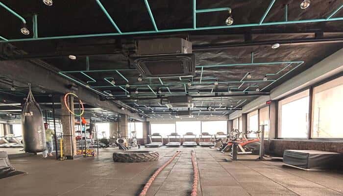Evolution Fitness