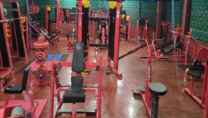 Alpha Gym