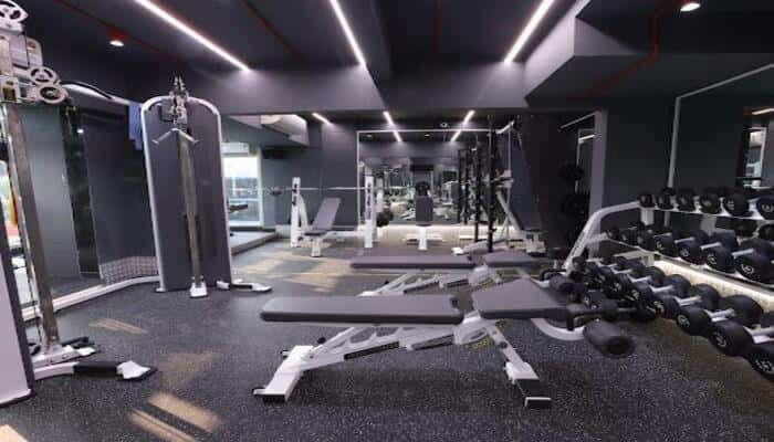 Elite Fitness