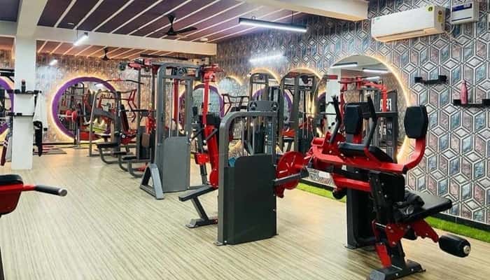Gym Shark