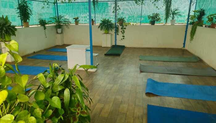 Shree Yoga Fitness