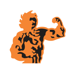 Power Fitness World logo