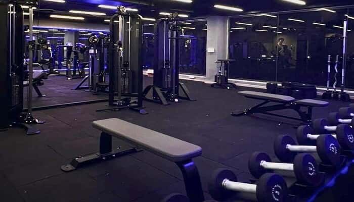 Aesthetic Fitness