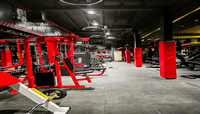 Lifezone Unisex Gym