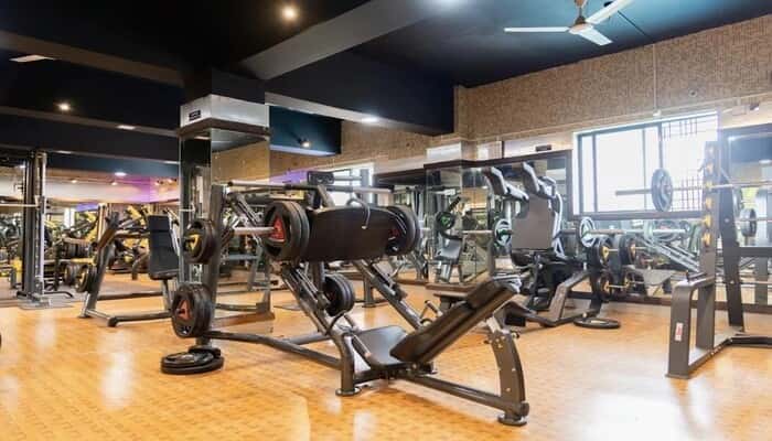 The Gym Bug's