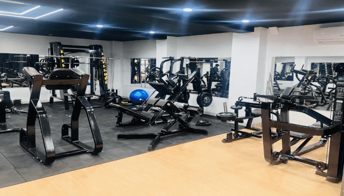 STF Gyms