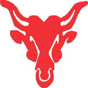 The Rock Gym logo