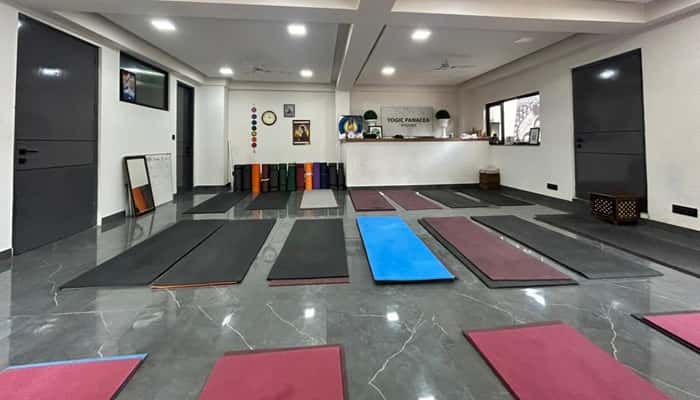 Yogic Panacea Studio