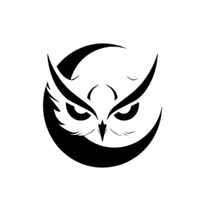 The Phoenix Fitness Empire logo