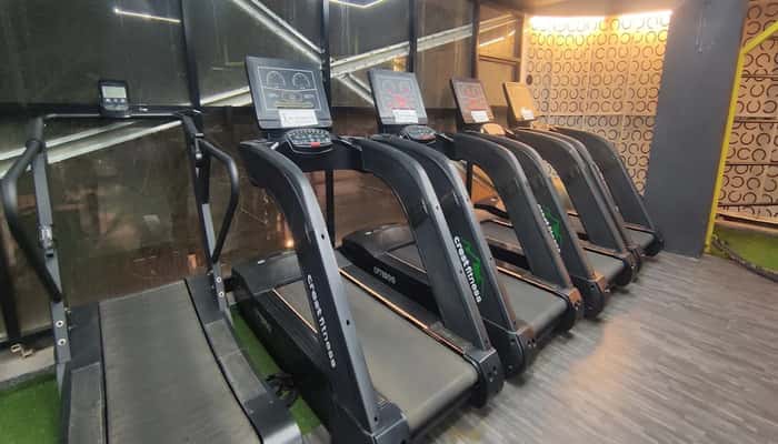 Muscle Factory Gyms