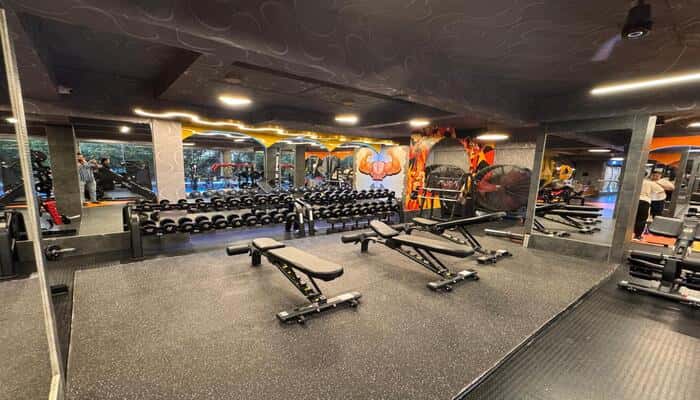 Ragnor Fitness